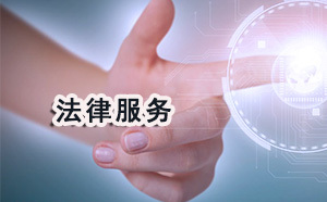 武漢周邊企業(yè)如何選擇專(zhuān)業(yè)的破產(chǎn)清算與債務(wù)律師服務(wù)