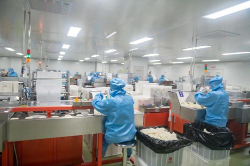 博興破產(chǎn)服務案例 債務化解與企業(yè)重生之路