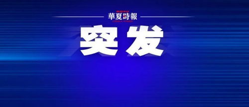 中植集團申請破產(chǎn)清算獲法院受理，破產(chǎn)清算服務啟動